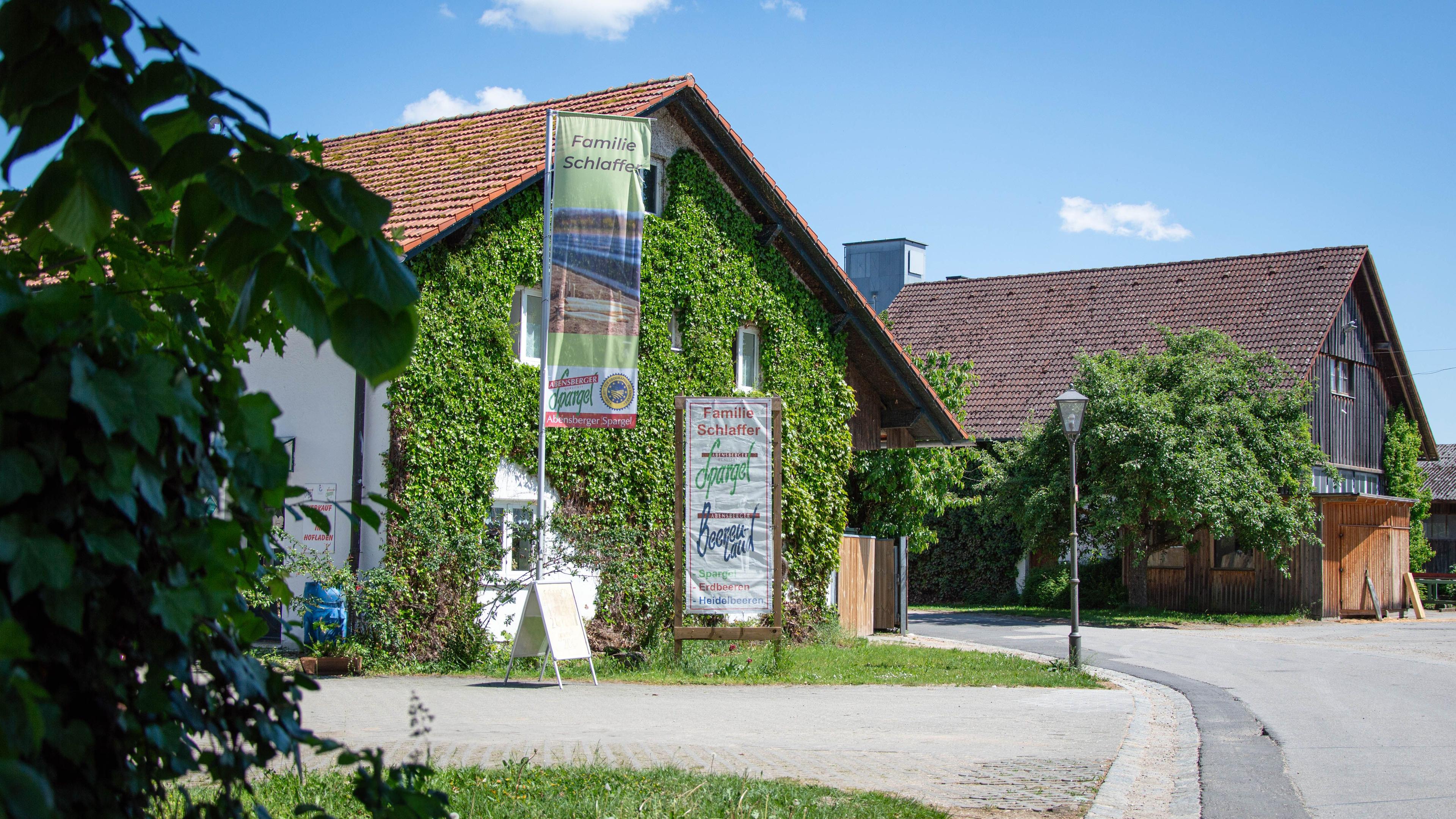 DSC_0198-Bearbeitet.jpg