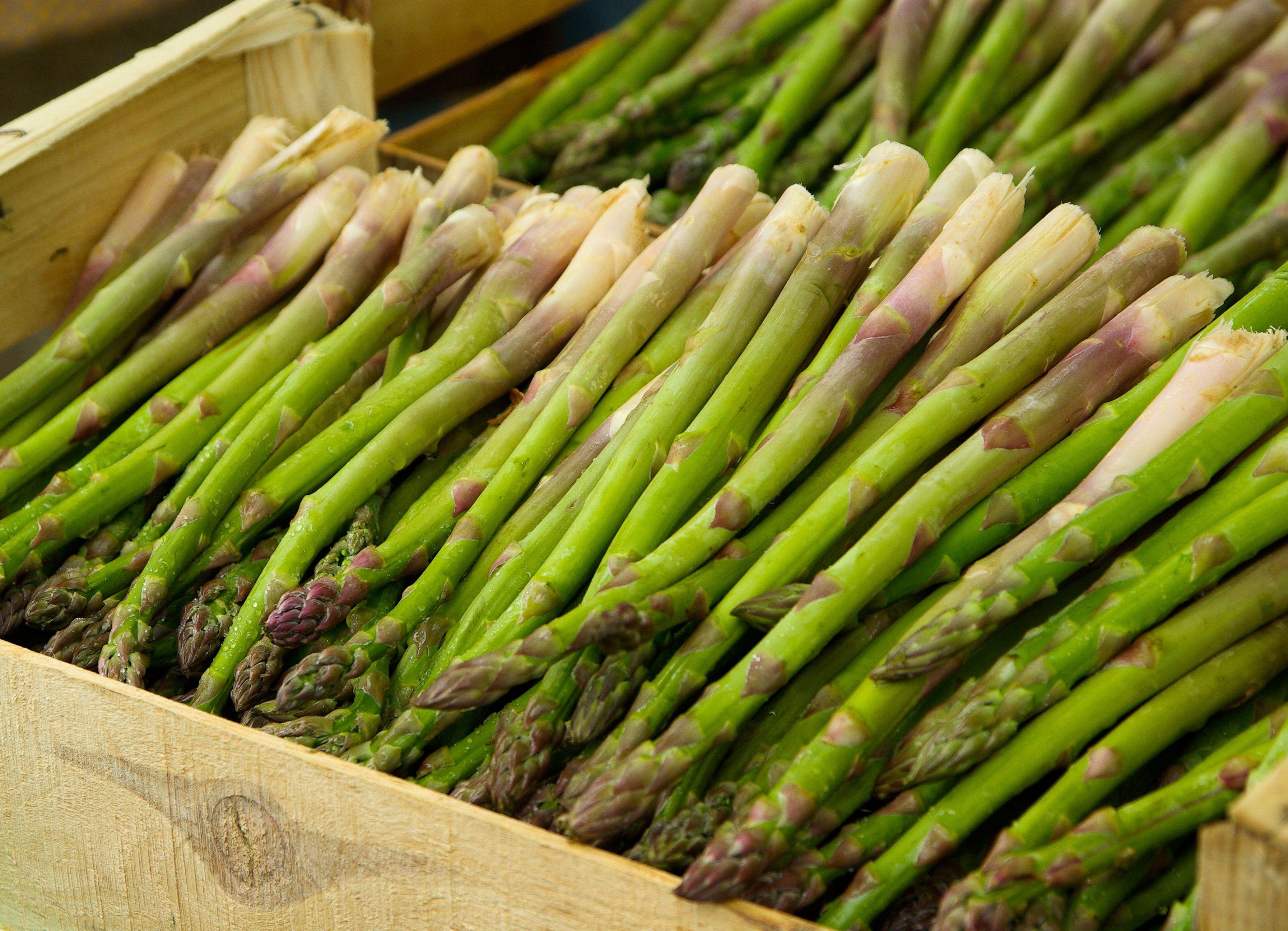 Spargel - Instagram .jpg